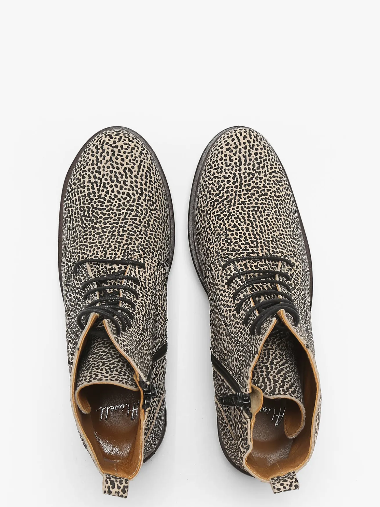 Bottines Zag en cuir ALIWELL