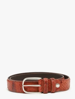 Ceinture ETRIER